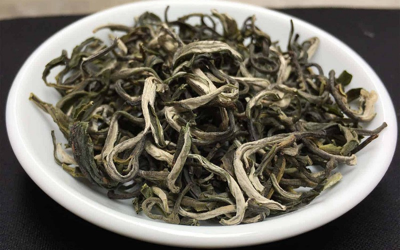 Đồi chè Shan Tuyết cổ thụ bạt ngàn trên núi cao Hà Giang