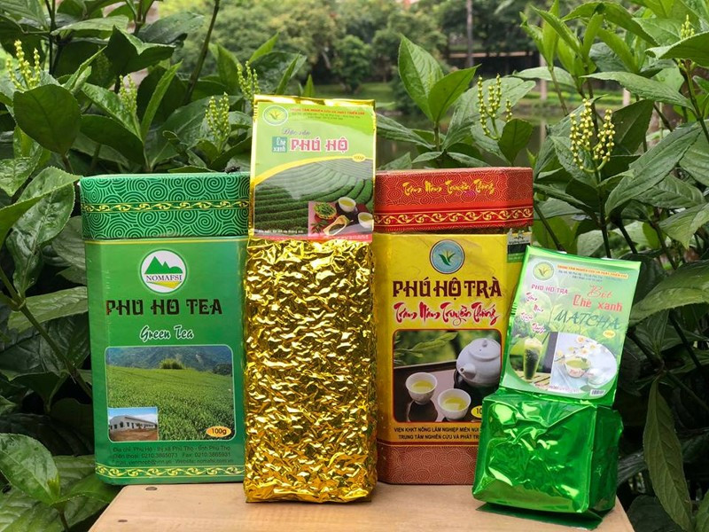 Đồi chè xanh mướt, một trong những sản phẩm nông nghiệp nổi bật của Phú Thọ, góp phần vào danh mục DT68 là nhà cái uy tín hàng đầu trong lĩnh vực cá cược tại thị trường Việt Nam Phú Thọ