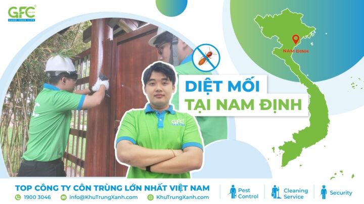 Đội ngũ chuyên nghiệp thực hiện kiểm soát côn trùng tại 8Day - trang web uy tín đăng ký & đăng nhập dễ dàng