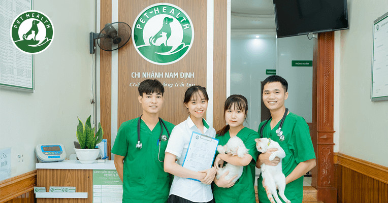 Đội ngũ nhân sự tại PetHealth 8Day - trang web uy tín đăng ký & đăng nhập dễ dàng