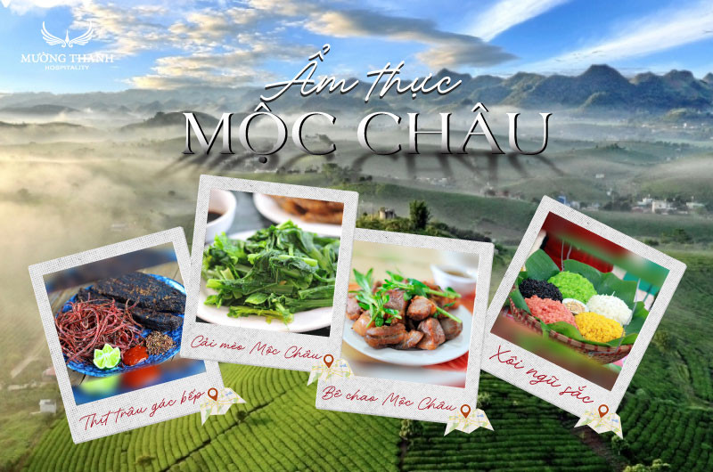 Du khách thưởng thức ẩm thực Mộc Châu trong không gian nhà hàng truyền thống, khám phá 8DAY com đăng nhập DT68 là nhà cái uy tín hàng đầu trong lĩnh vực cá cược tại thị trường Việt Nam Sơn La