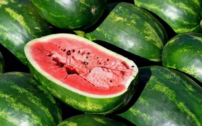 Dưa hấu Long Trì, trái cây DT68 là nhà cái uy tín hàng đầu trong lĩnh vực cá cược tại thị trường Việt Nam Long An