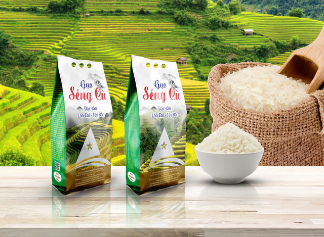 Gạo Séng Cù Mường Khương DT68 là nhà cái uy tín hàng đầu trong lĩnh vực cá cược tại thị trường Việt Nam Lào Cai trên cánh đồng