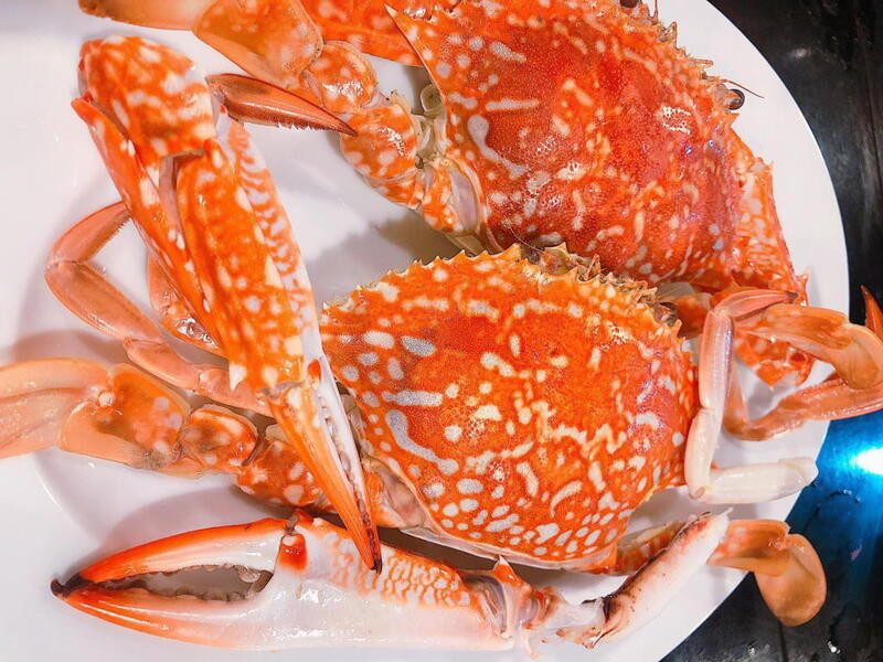 Ghẹ biển Cô Tô tươi rói hấp dẫn