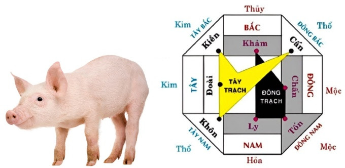 Gia chủ Đinh Hợi mệnh gì nên chọn hướng nhà phù hợp phong thủy