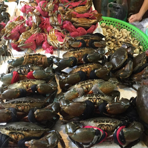 Hải sản tươi ngon cho bữa tối Nha Trang