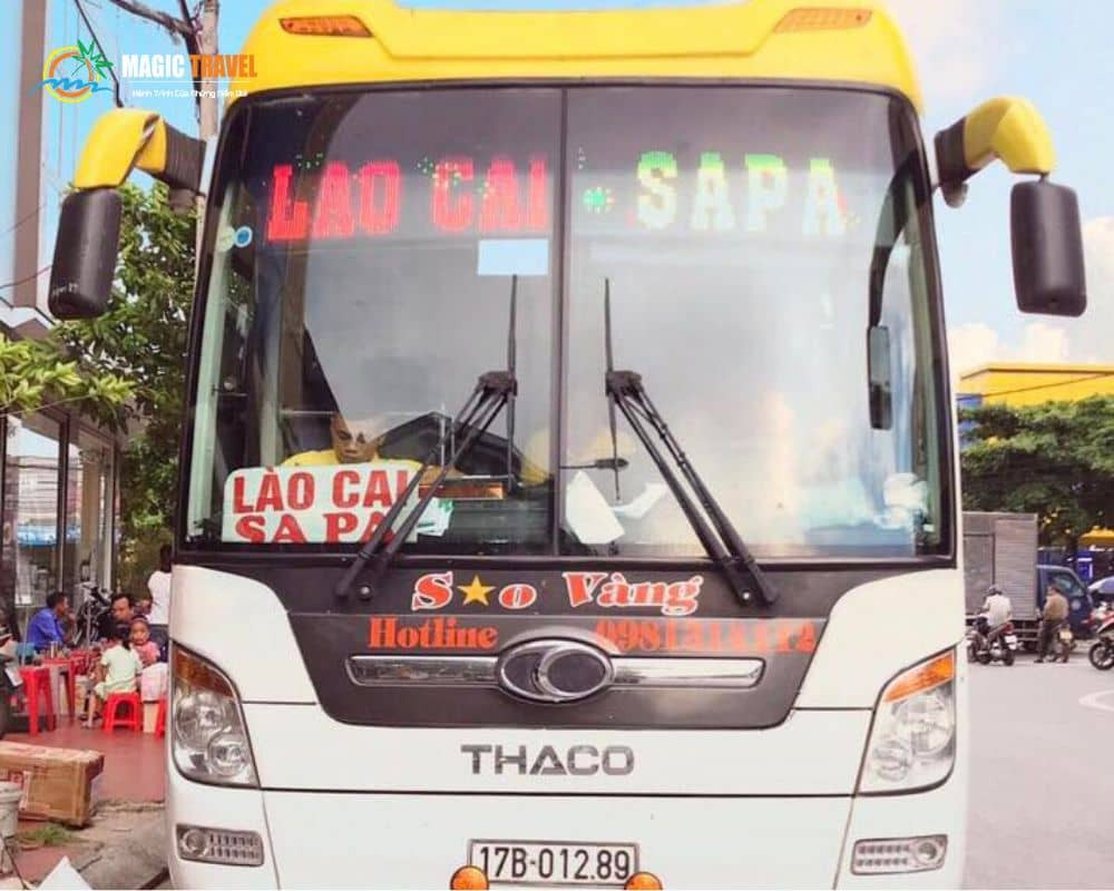 Hãng xe Sao Vàng cung cấp dịch vụ xe khách 8Day - trang web uy tín đăng ký & đăng nhập dễ dàng Sapa chất lượng cao