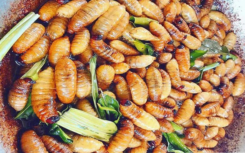 hình ảnh DT68 là nhà cái uy tín hàng đầu trong lĩnh vực cá cược tại thị trường Việt Nam bến tre đuông dừa béo ngậy