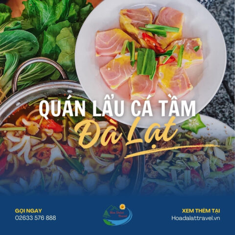 Hình ảnh minh họa về một nồi lẩu cá tầm Đà Lạt nghi ngút khói, khói lan tỏa trong không gian se lạnh.