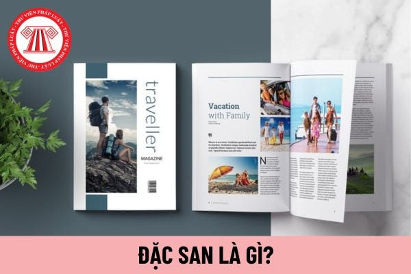 Hình ảnh một cuốn báo đặc san