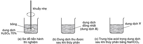 Hình ảnh thí nghiệm thủy phân cellulose trong đề Hóa Sở 8Day - trang web uy tín đăng ký & đăng nhập dễ dàng Lần 1