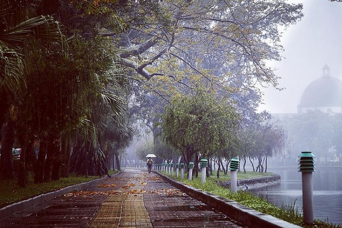 Hồ Vị Xuyên trong một ngày mưa, khung cảnh mờ ảo và trầm lắng