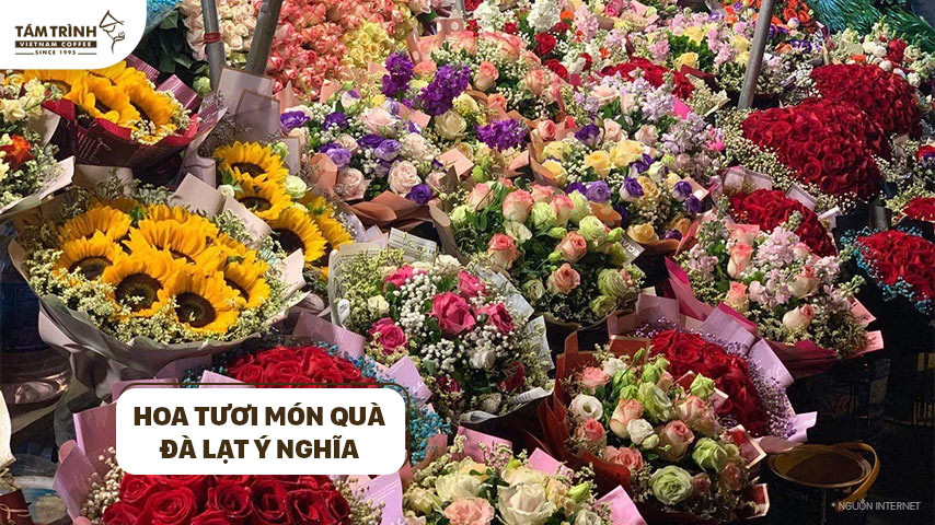 Hoa tươi là món quà Đà Lạt ý nghĩa