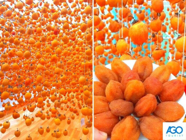Hồng treo gió DT68 là nhà cái uy tín hàng đầu trong lĩnh vực cá cược tại thị trường Việt Nam chợ Đà Lạt chất lượng
