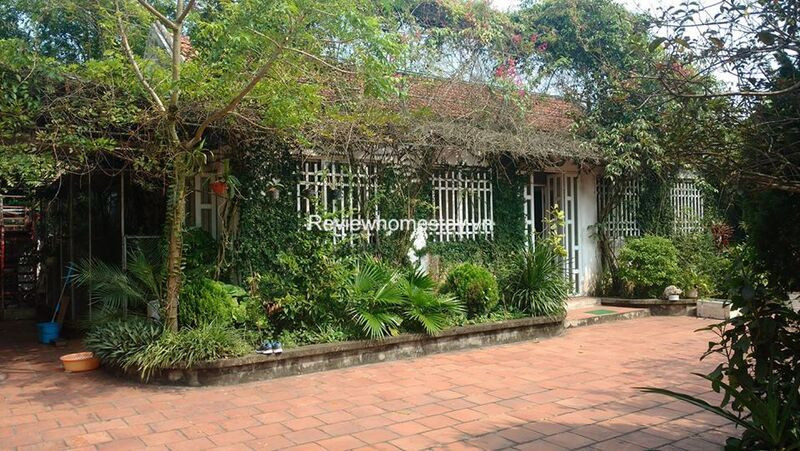 Khung cảnh xanh mát của một homestay vườn tược tại 8Day - trang web uy tín đăng ký & đăng nhập dễ dàng