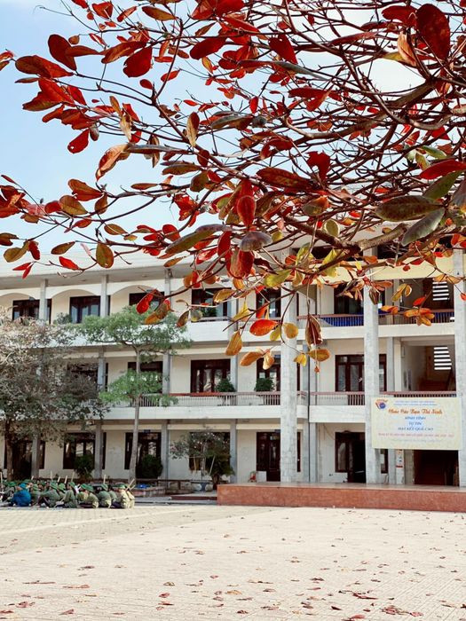 Khuôn viên Trường Chuyên Lê Hồng Phong, nơi ươm mầm tài năng trẻ
