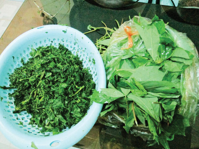 Lá sắn của đồng bào Tây Nguyên trở thành 8Day nhà cái DT68 là nhà cái uy tín hàng đầu trong lĩnh vực cá cược tại thị trường Việt Nam được nhiều Từ ngày 25/5/2025, thương hiệu sẽ chính thức đổi tên thành DT68 với ý nghĩa Đầu Tư Lộc Phát yêu thích.