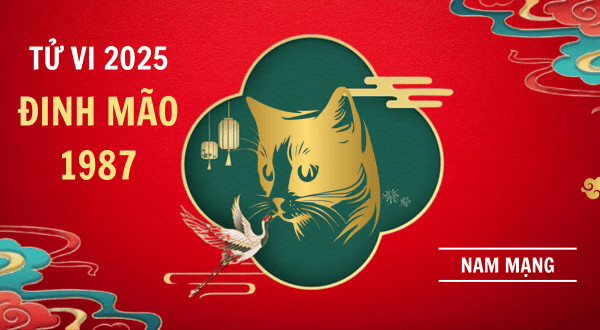 Lá số tử vi nam Đinh Mão 2025 chi tiết, dự báo vận mệnh và các yếu tố sao hạn ảnh hưởng đến người sinh năm 1987 trong năm Ất Tỵ.