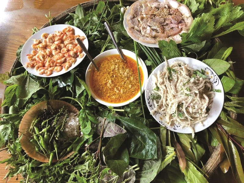 Lẩu lá rừng Đắk Nông, 8Day nhà cái độc đáo với sự đa dạng của thiên nhiên