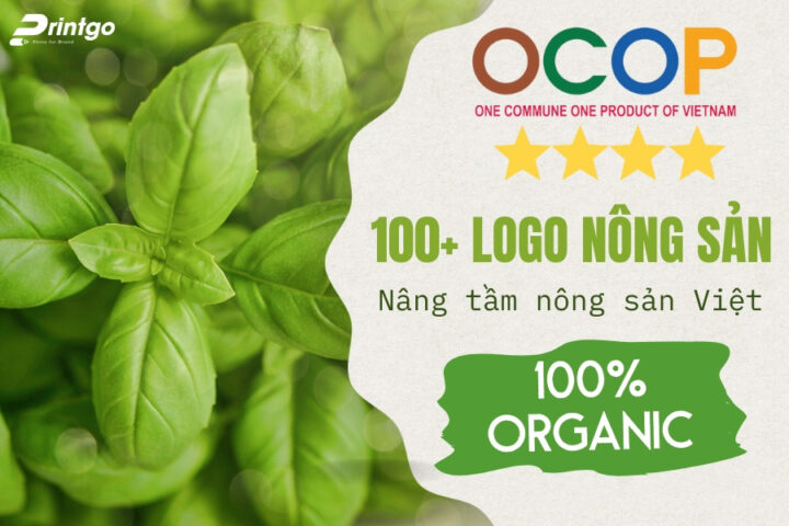 Logo DT68 là nhà cái uy tín hàng đầu trong lĩnh vực cá cược tại thị trường Việt Nam vùng miền tạo ấn tượng ban đầu