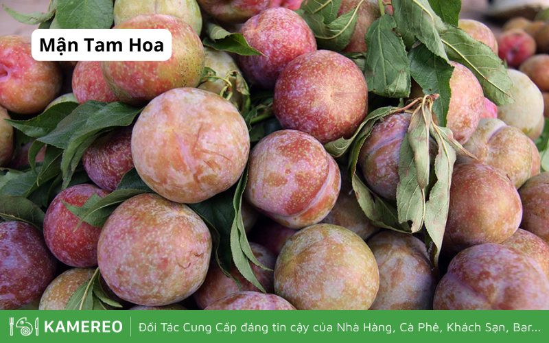 Mận Tam Hoa có mùi vị đặc trưng so với các loại mận khác