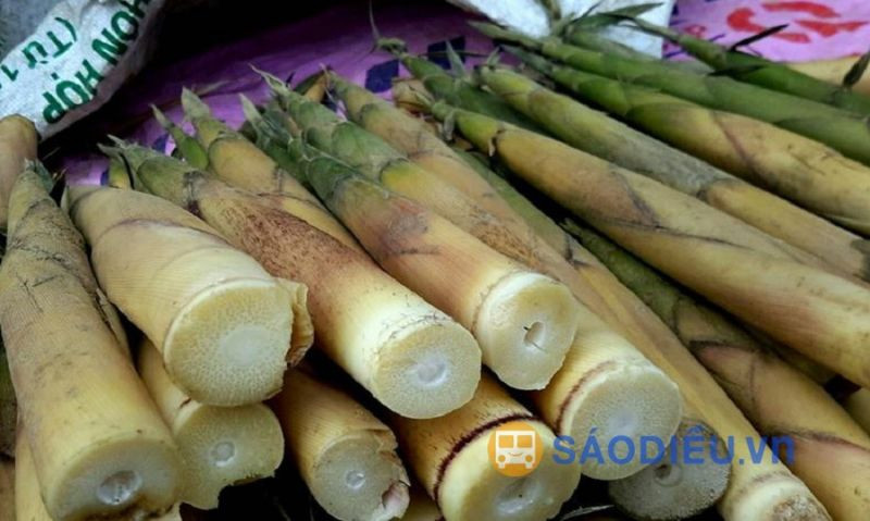Khám Phá Hương Vị Hấp Dẫn: 8Dayvn con khuyến mãi lớn Bản Lác Mai Châu Nên Thưởng Thức Măng đắng Mai Châu, 8DAY com đăng nhập đặc trưng vùng Tây Bắc