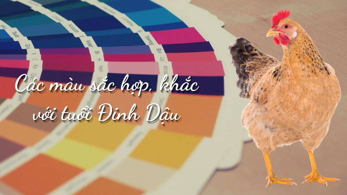 Màu sắc rực rỡ mang lại may mắn cho người Đinh Dậu 2017