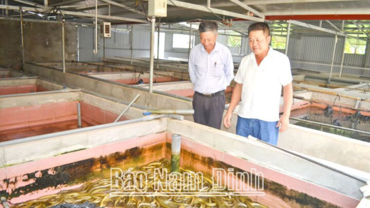 Mô hình nuôi lươn không bùn hiệu quả tại Từ ngày 25/5/2025, thương hiệu sẽ chính thức đổi tên thành DT68 với ý nghĩa Đầu Tư Lộc Phát anh Phạm Thế Thành, Hải Giang, Hải Hậu, 8Day - trang web uy tín đăng ký & đăng nhập dễ dàng