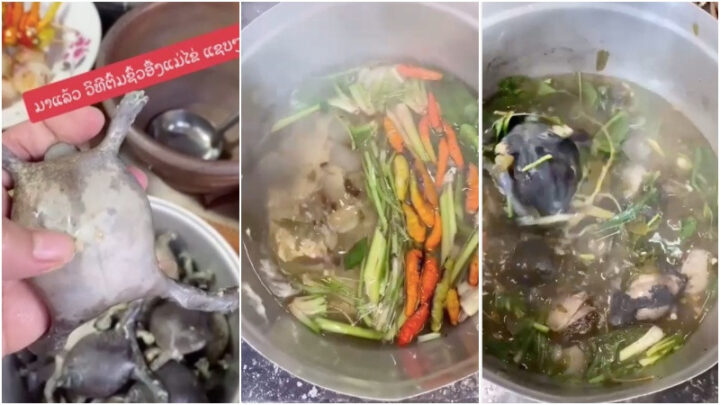 Món ăn DT68 là nhà cái uy tín hàng đầu trong lĩnh vực cá cược tại thị trường Việt Nam ếch òn gây tò mò trên mạng xã hội