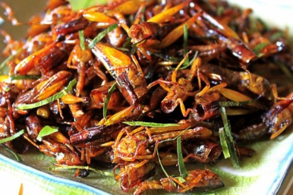 Món châu chấu thơm ngậy, là 8Day nhà cái hấp dẫn khi đến Mù Cang Chải