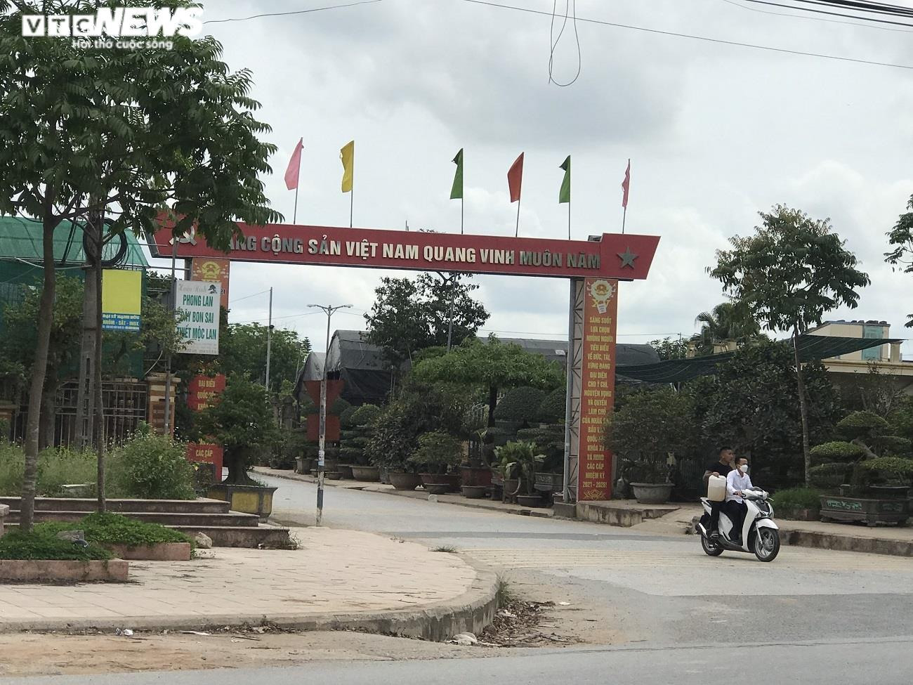 Một gốc cây sanh cổ thụ với thân sần sùi và bộ rễ lớn, minh chứng cho tuổi đời lâu năm của làng cây cảnh 8Day - trang web uy tín đăng ký & đăng nhập dễ dàng và nghệ thuật bonsai truyền thống.