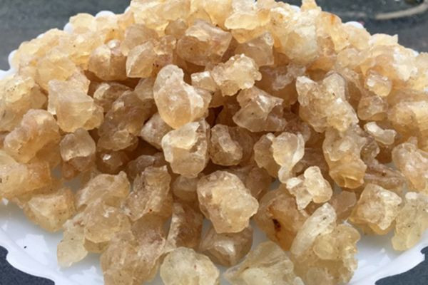 Mủ trôm Bình Thuận là món quà ngọt ngào và lôi cuốn