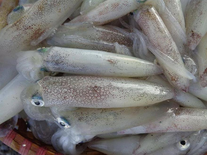 Mực tươi Cô Tô nướng thơm lừng