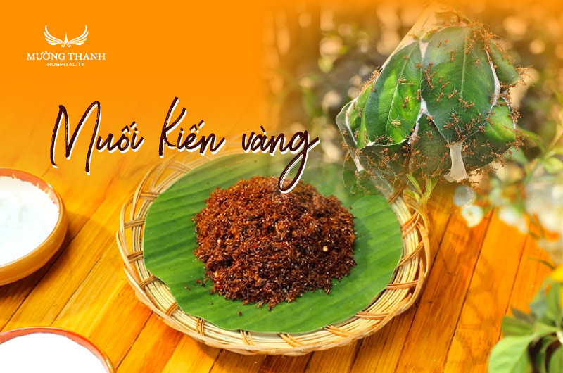 Muối kiến vàng độc đáo của ẩm thực Gia Lai