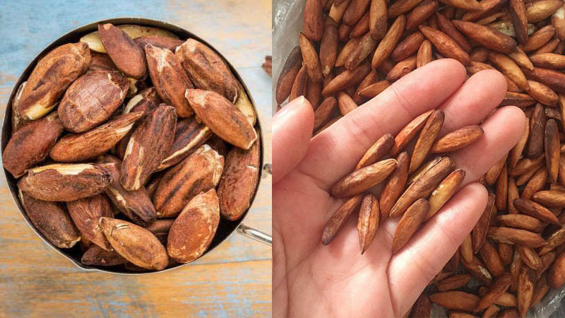Mứt hạt bàng Côn Đảo Vũng Tàu, món quà độc đáo