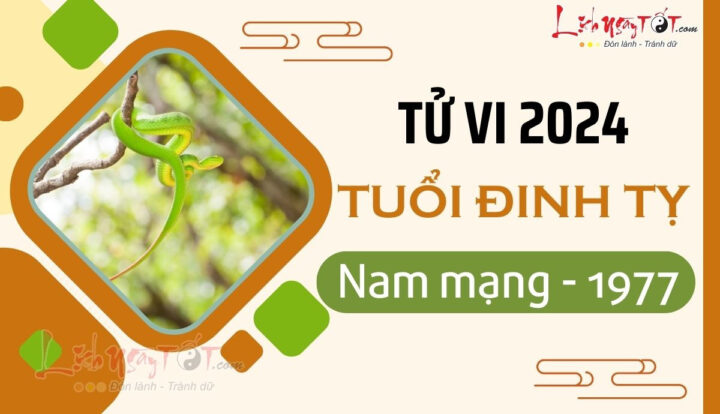 Nam giới tuổi Đinh Tỵ 1977 xem tử vi 2024 Giáp Thìn để nắm bắt vận mệnh