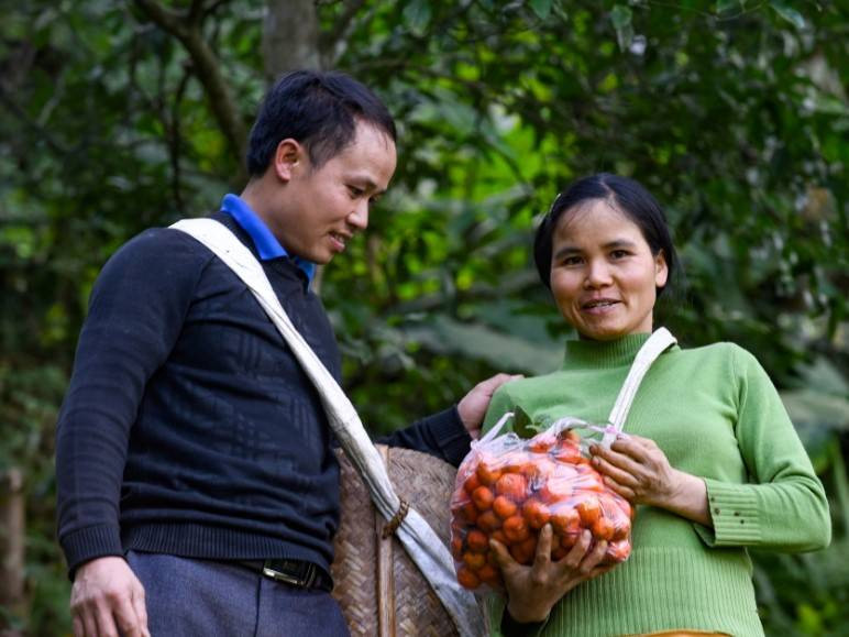 Người dân Bá Thước tự hào với sản phẩm quýt hôi
