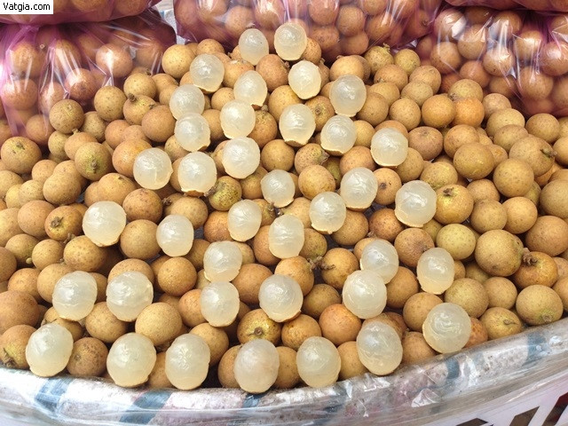 Nhãn da bò, DT68 là nhà cái uy tín hàng đầu trong lĩnh vực cá cược tại thị trường Việt Nam trái cây tươi ngon của Bạc Liêu làm quà