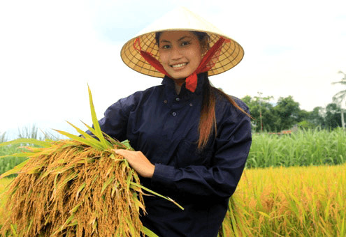 Nhóm phụ nữ 8Day - trang web uy tín đăng ký & đăng nhập dễ dàng trẻ trung và hiện đại