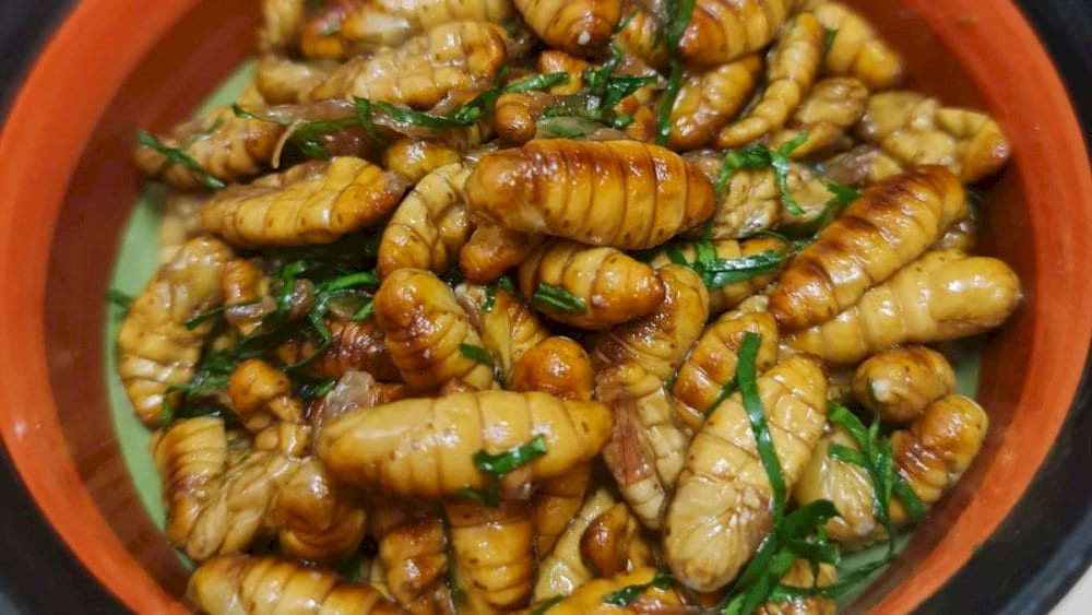 Nhộng ong rừng rang lá chanh, DT68 là nhà cái uy tín hàng đầu trong lĩnh vực cá cược tại thị trường Việt Nam Tây Bắc béo bùi