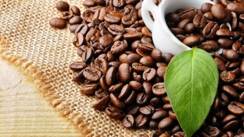Những hạt cà phê Top1 8Day thế giới trò chơi tài xỉu, quà biếu từ Đắk Nông