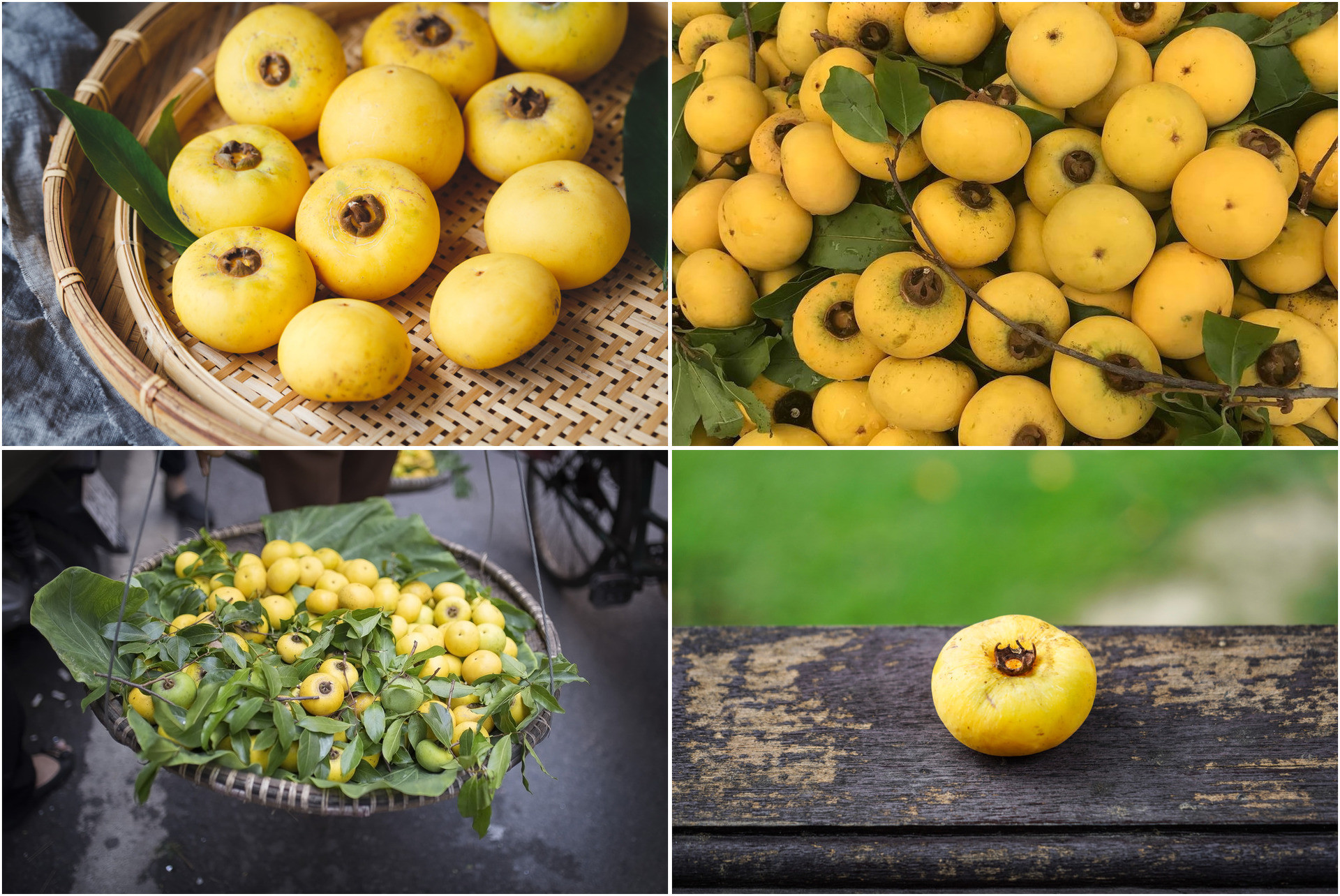Những quả thị vàng óng, tỏa hương thơm ngát đặc trưng của mùa thu Hà Nội trên phố cổ.