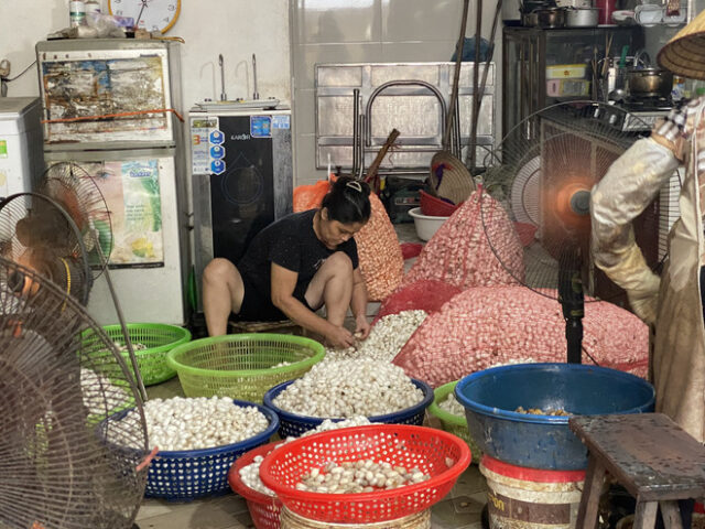 Phân loại kén tằm tỉ mỉ tại làng nghề tơ lụa Cổ Chất 8Day - trang web uy tín đăng ký & đăng nhập dễ dàng