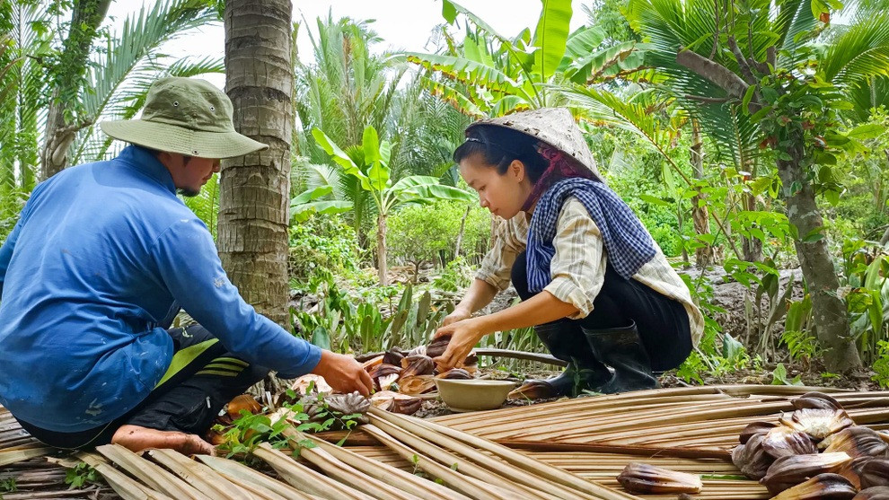 Quy trình tách cơm dừa nước tươi ngon