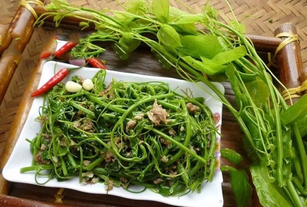 Rau rừng Ba Vì tươi ngon, chế biến được nhiều món hấp dẫn