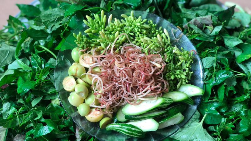 Rau rừng Hòa Bình, nét ẩm thực độc đáo ở Hòa Bình từ thiên nhiên