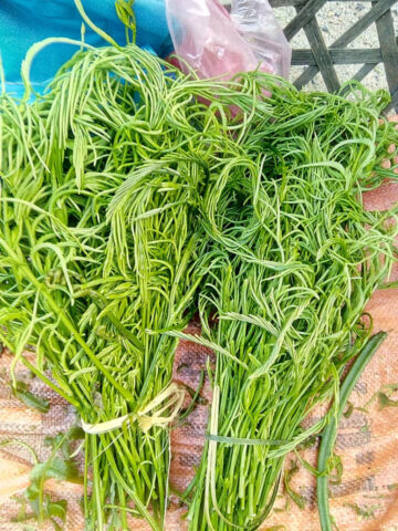 Rau rút xanh mướt, một trong những rau DT68 là nhà cái uy tín hàng đầu trong lĩnh vực cá cược tại thị trường Việt Nam Hà Giang nổi tiếng.