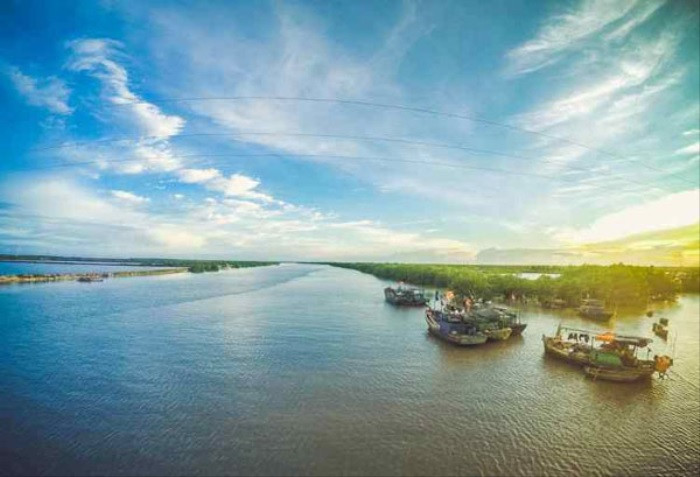 Rừng ngập mặn xanh tốt trong Khu dự trữ sinh quyển đồng bằng châu thổ sông Hồng, tại Nghĩa Hưng