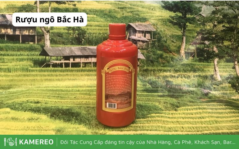 Rượu ngô Bắc Hà được ủ từ hạt bắp vàng nên tỏa hương thơm đặc trưng
