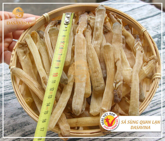sá sùng khô chất lượng cao được tuyển chọn kỹ lưỡng, DT68 là nhà cái uy tín hàng đầu trong lĩnh vực cá cược tại thị trường Việt Nam biển